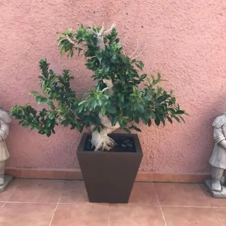 Casa,solarium,barbacoa,piscina *